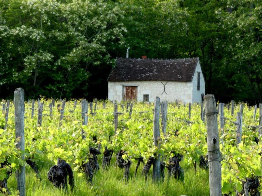 Maison De Bourg Paisible Parcay-sur-Vienne 外观 照片